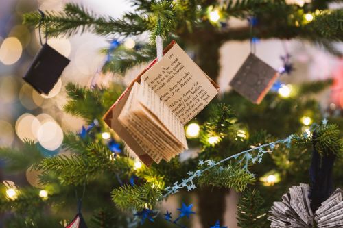 Photos du Voyage TABOUREAU : Noël à Cheverny  ( SAMEDI 05 DECEMBRE 2026 )